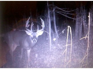 Property photo 23 - LAND AUCTION - 138+/- ACRES OFFERED IN 3 TRACTS IN SPENCER COUNTY, INDIANA